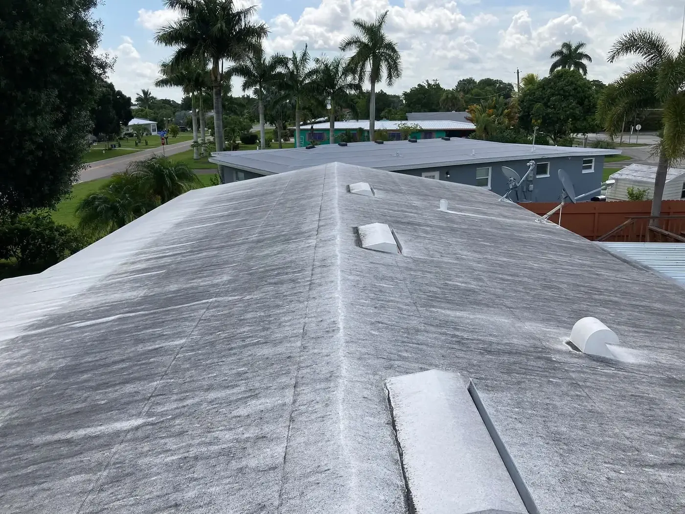 Low slope roof section covered in black algae staining and standing dirt
