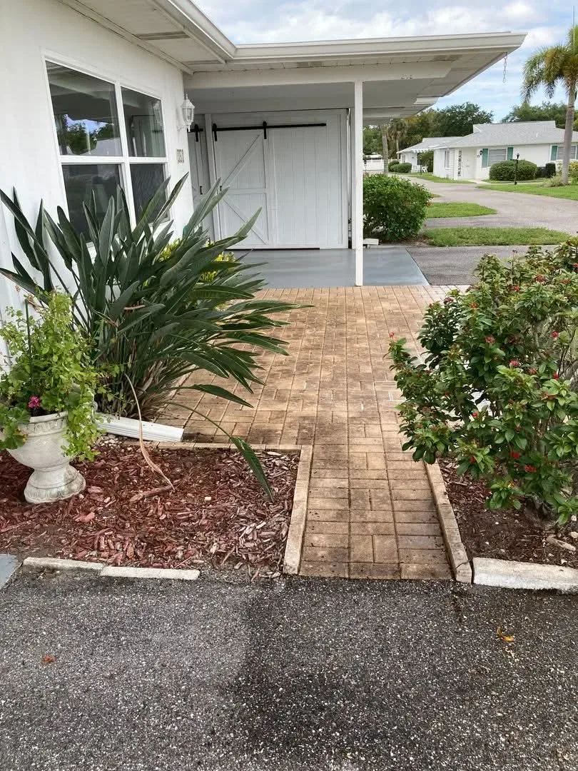 Brick paver walkway with growth in the joints and a grey film over the pavers