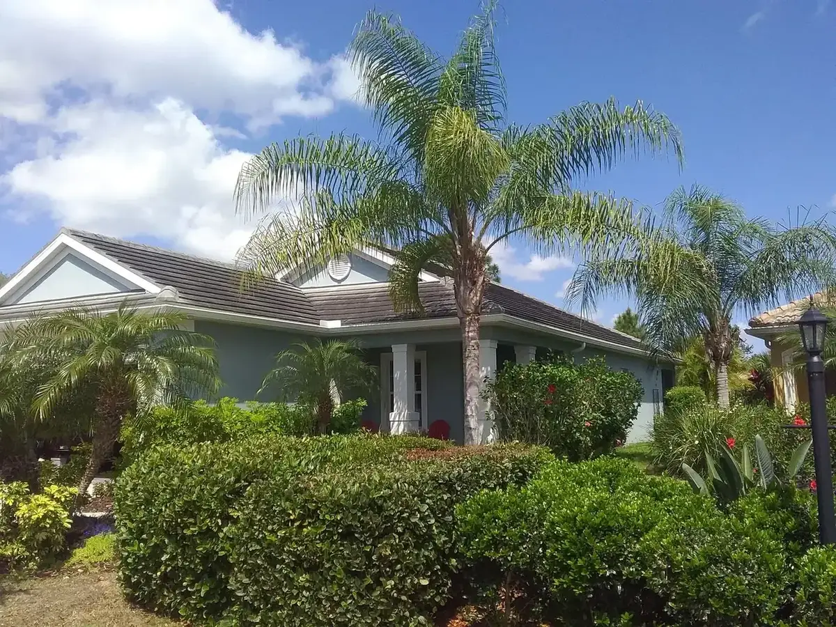 Single storey home with a tile roof showing heavy black streaking from the ridge down